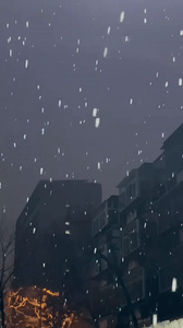 2025年第一场雪！济南、聊城、临沂纷纷签收，潍坊→