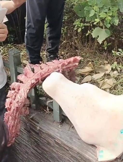 自贡富顺一小学食堂被举报使用劣质肉，市监局：已封存并抽样检测