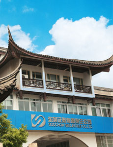 东吴证券专业版(东吴证券专业版是什么)