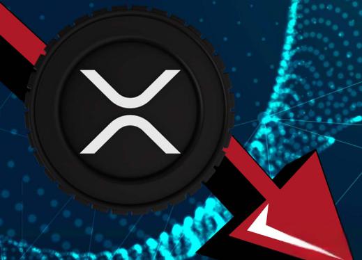 关于XRP-瑞波币交易所交易平台的信息