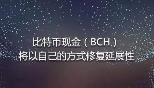 BCH-比特现金交易所投资的简单介绍