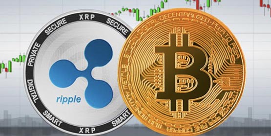 XRP交易所投资(xrp币被起诉最新消息)