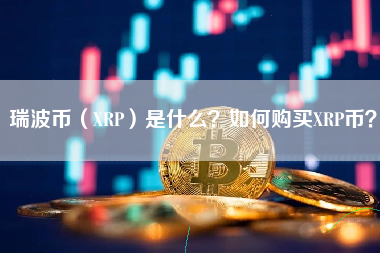 关于瑞波币交易所交易平台的信息